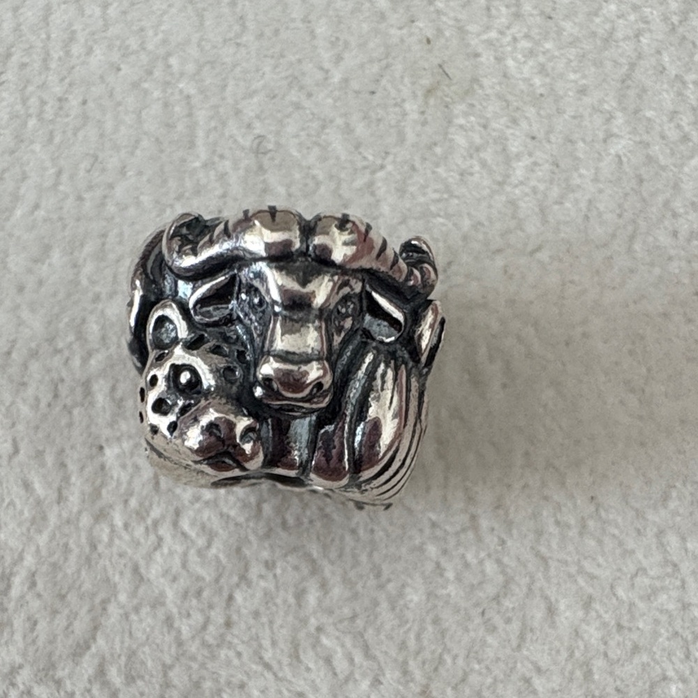 Pandora African Safari Silver Textured charm - Picture 3 of 6